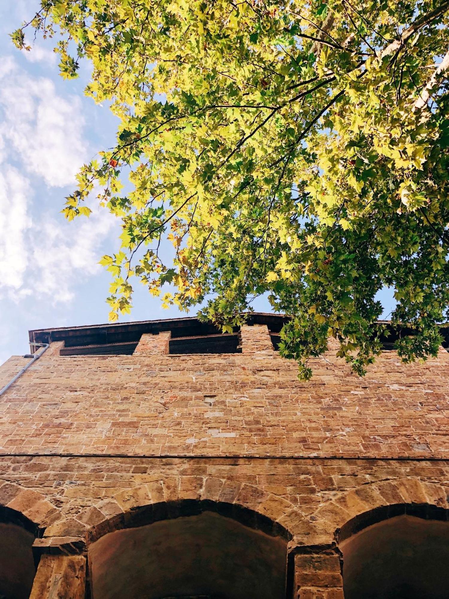 Appartamento D'Arte, L'Oasi Florença Exterior foto